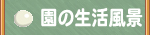 ���̕��i